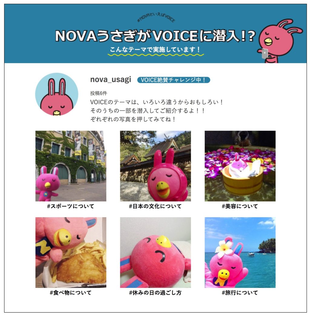 nova-voice