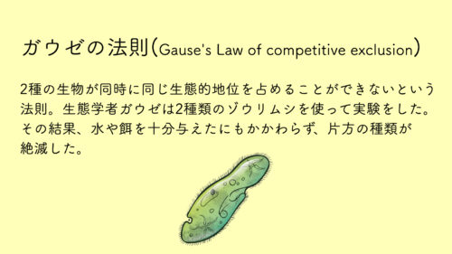 gauses-law
